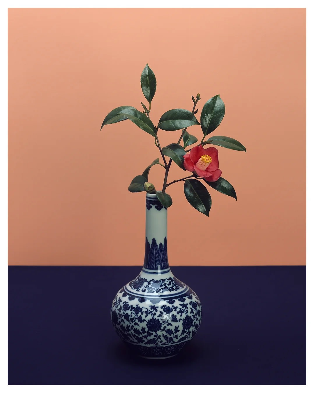 김용훈 : 오색찬란