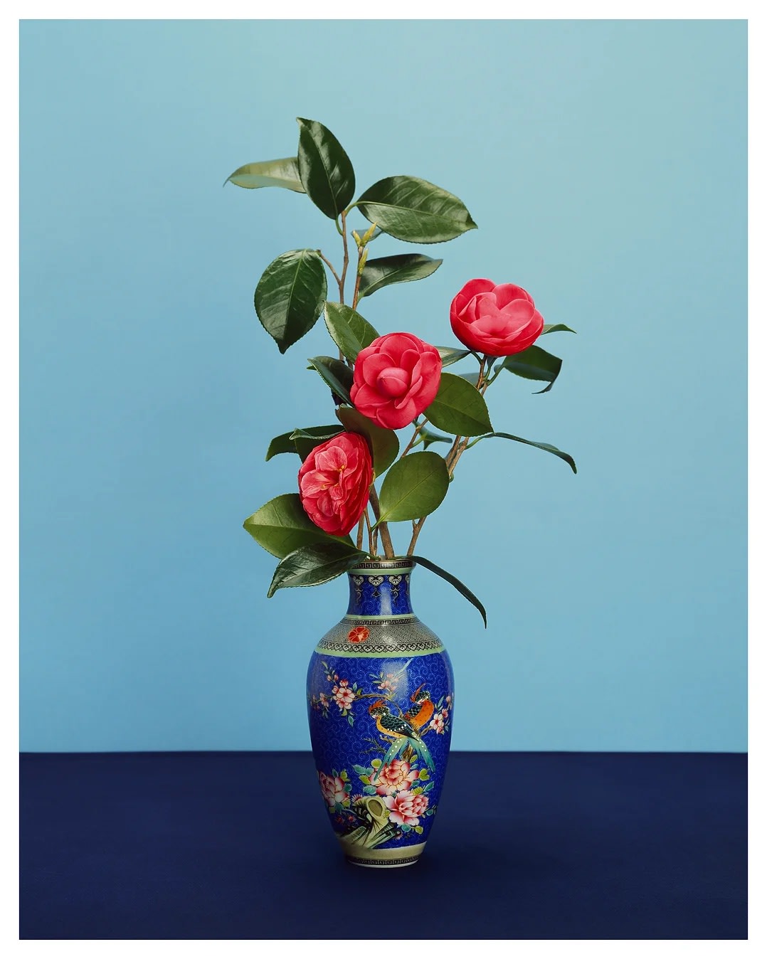 김용훈 : 오색찬란