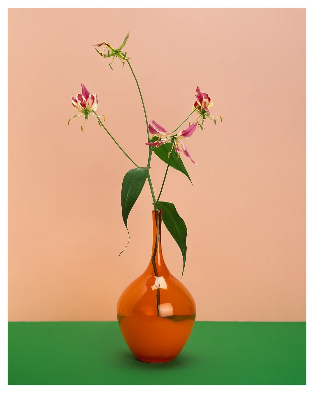 김용훈 : 오색찬란