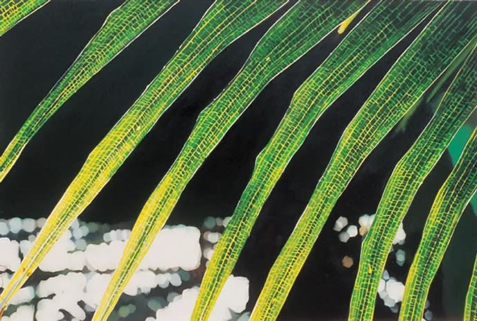 요술 미술 The Magic of Art