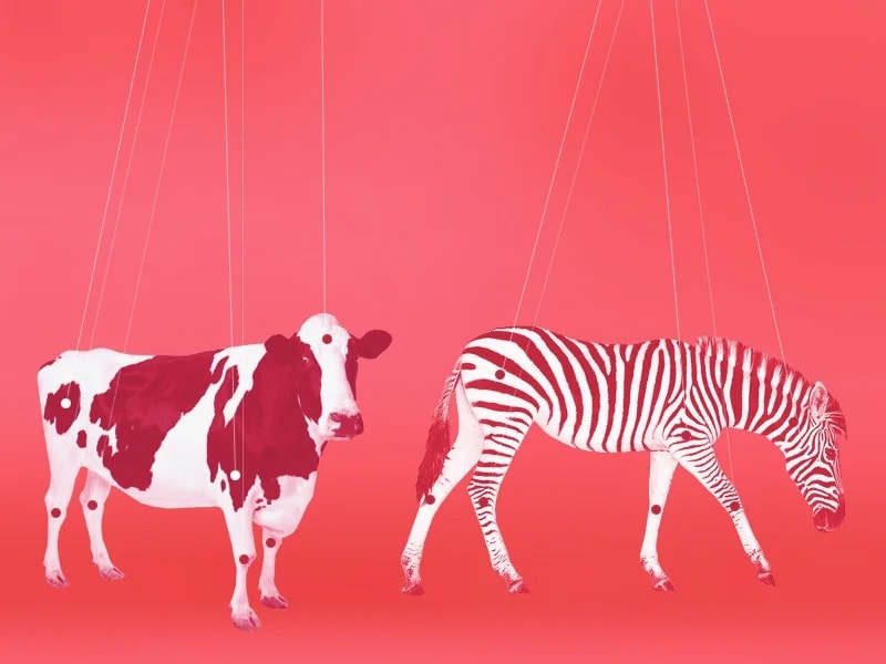 요술 미술 The Magic of Art