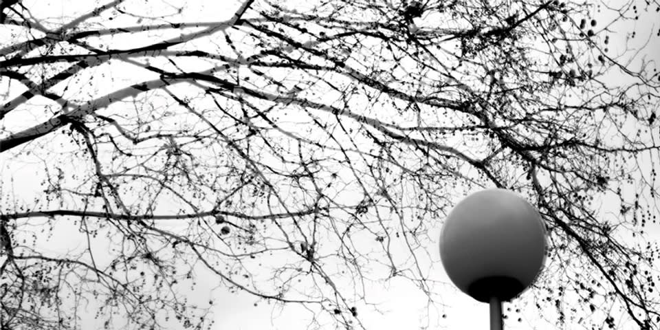 심문섭 : The Presentation