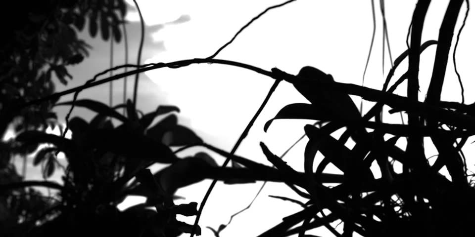 심문섭 : The Presentation