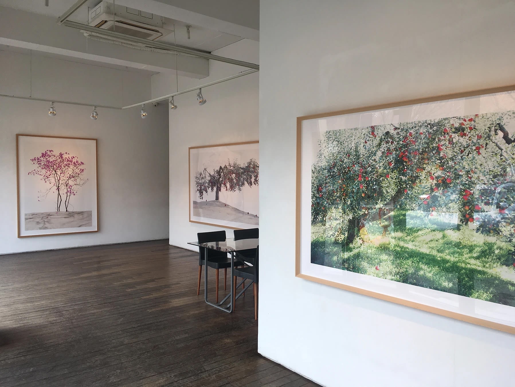 김광수 : Fantastic Reality