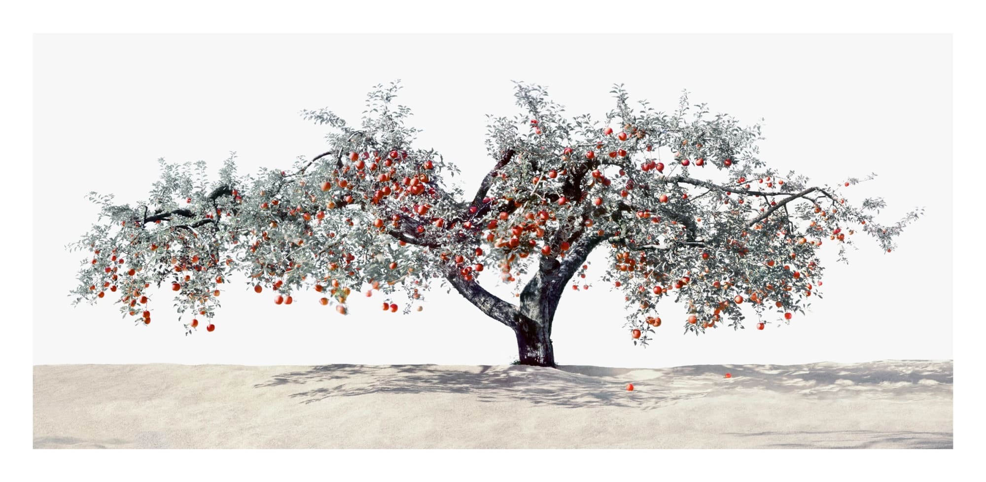 김광수 : Fantastic Reality