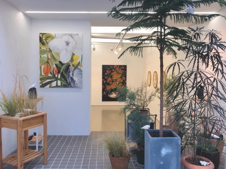 WINTER GARDEN : Grow & Glow