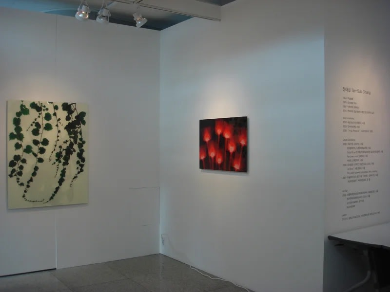 정태섭 : X-Ray로 봄을 보다