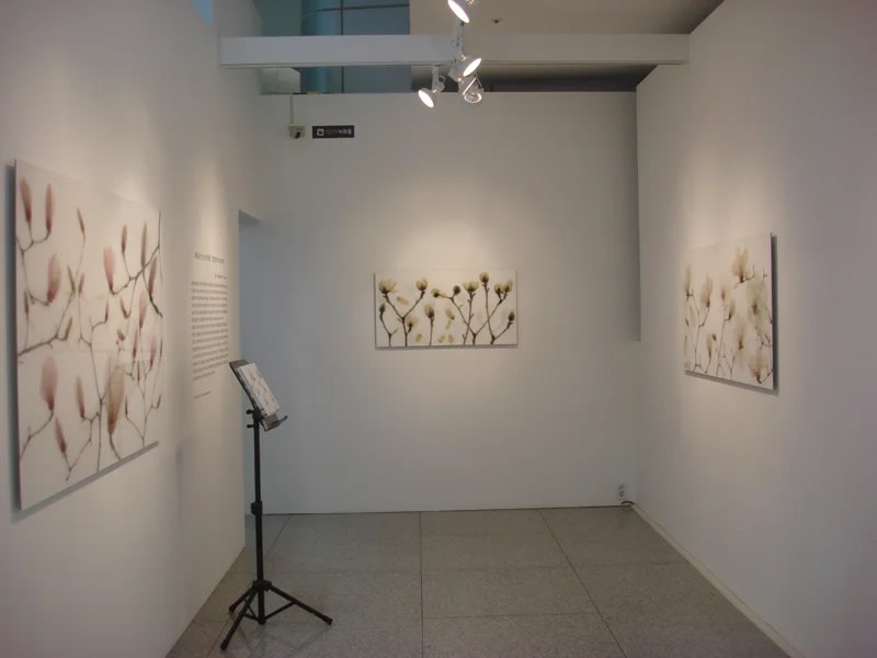 정태섭 : X-Ray로 봄을 보다