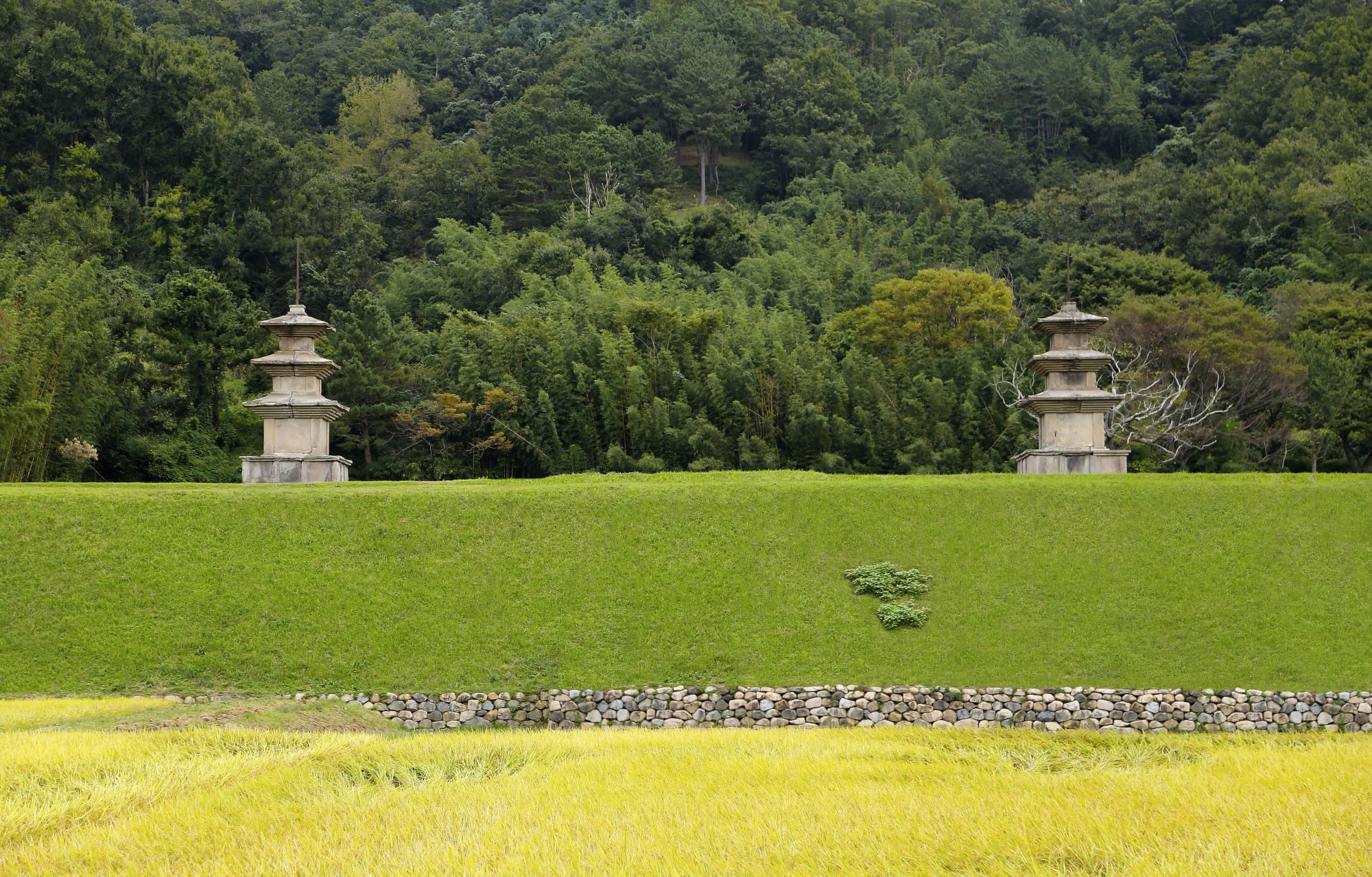 이중근 : 조 우 遭遇 Close Encounter with Korean Heritage