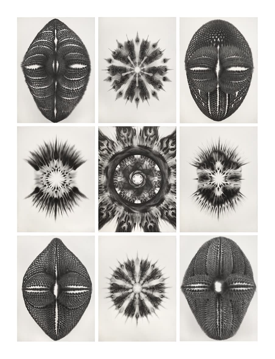 남궁환 : Entoptima 별의 기억