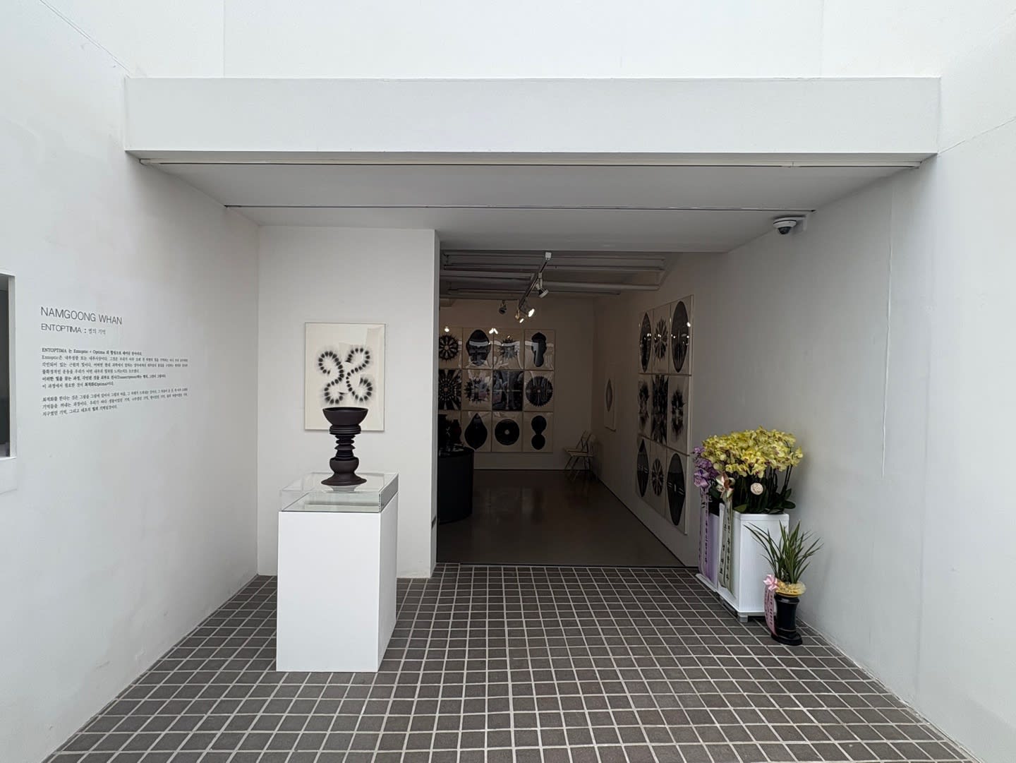 남궁환 : Entoptima 별의 기억