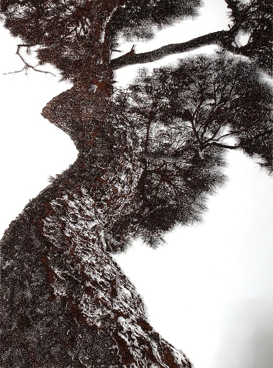 김용진 : 점의 형상