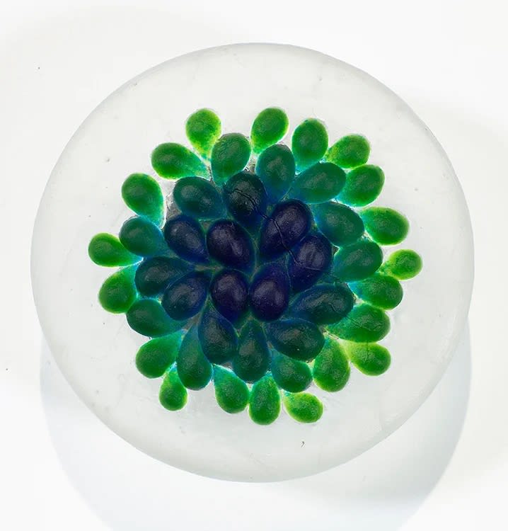 함연주 : Blooming