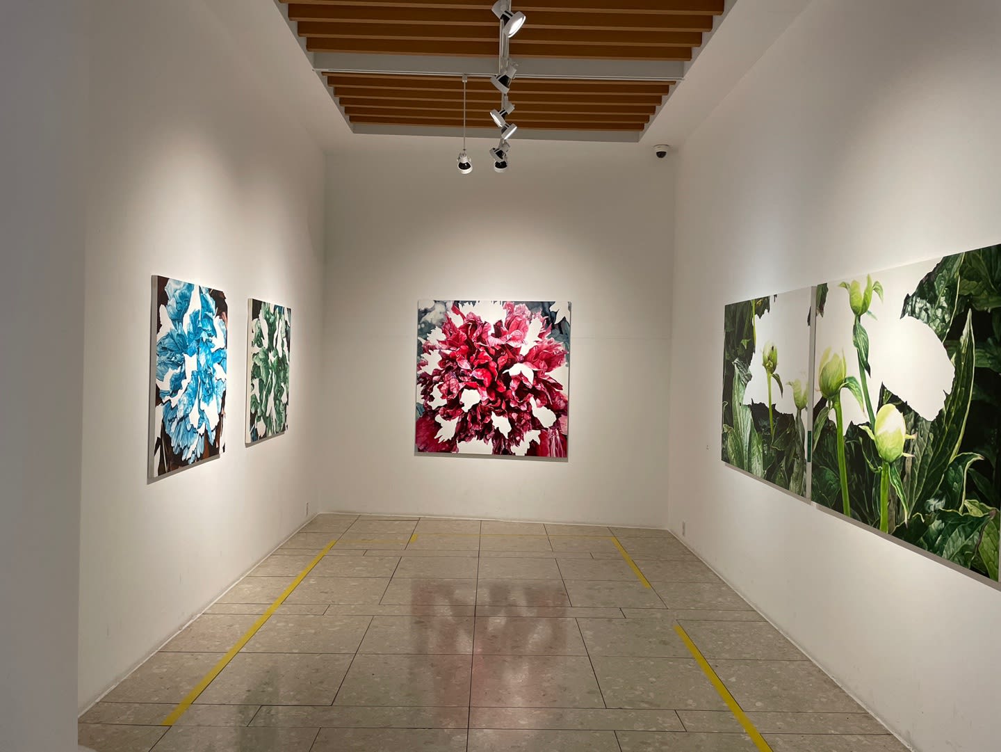 한수정 : 꽃이 피다