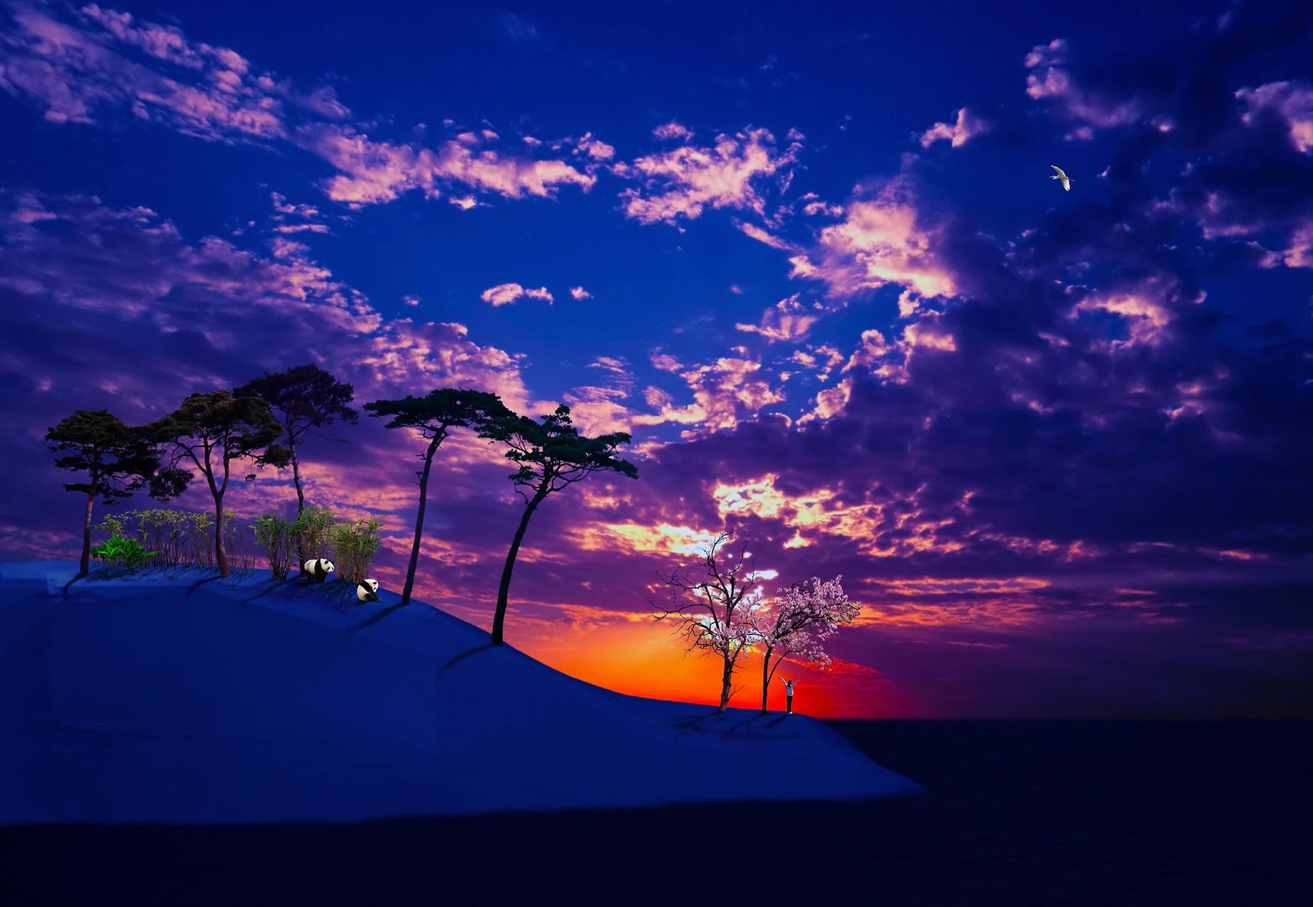 임택 : 치유의 풍경-옮겨진산수유람기