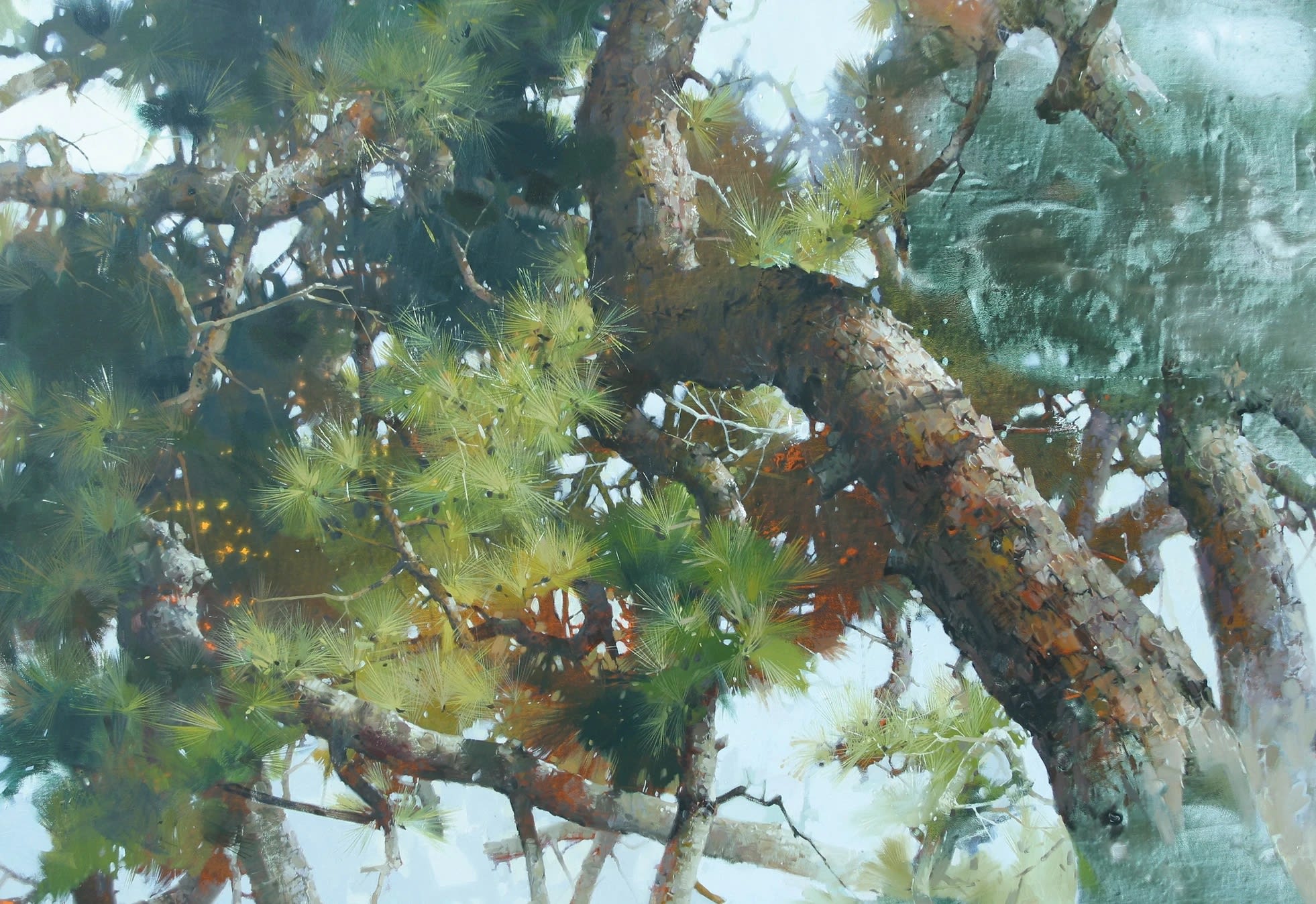 박철환 : 영원의 언어