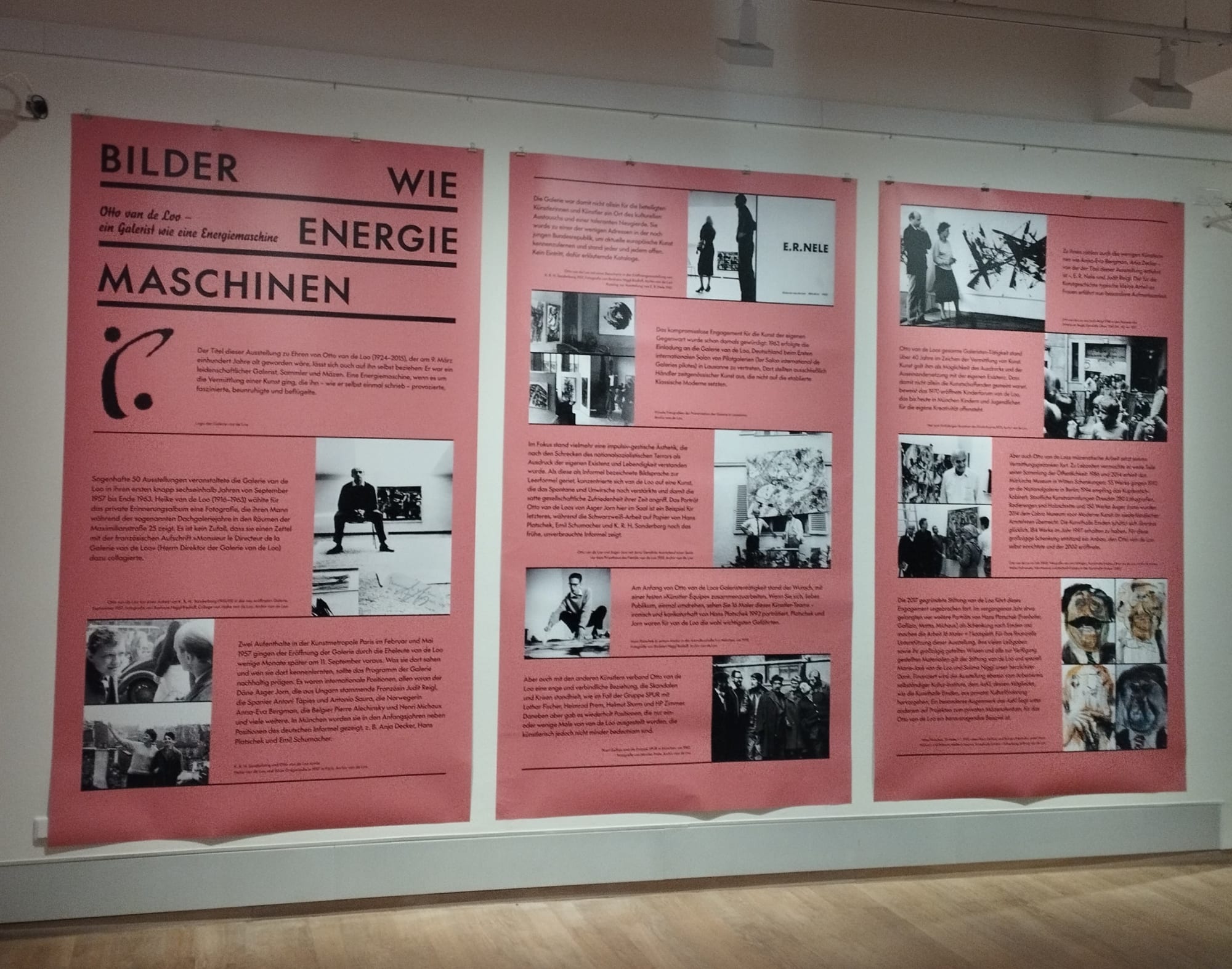 © Photo Arpad Horváth