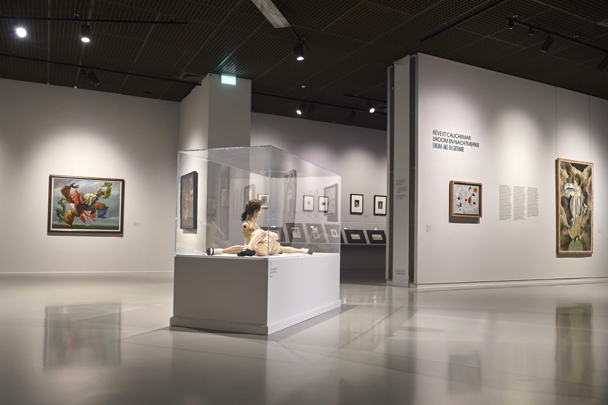 © Photo Constance le Hardy / Royal Museums of Fine Arts Belgium