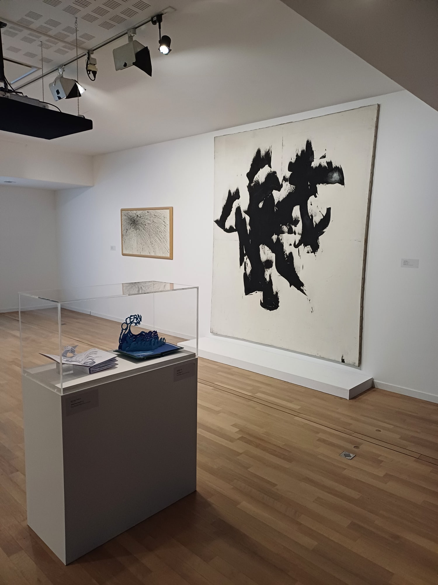 © photo Tatiana Rybaltchenko