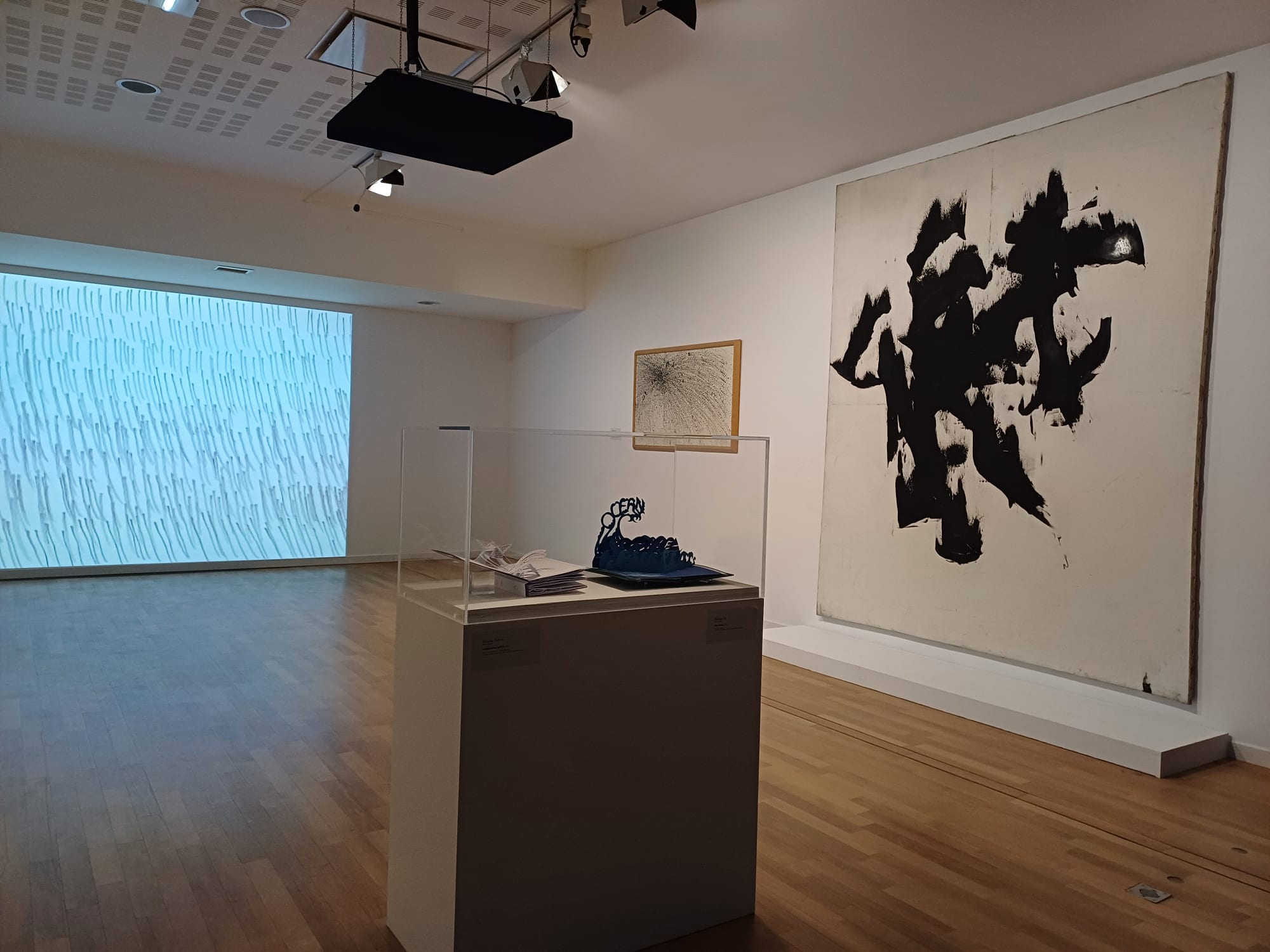 © photo Tatiana Rybaltchenko