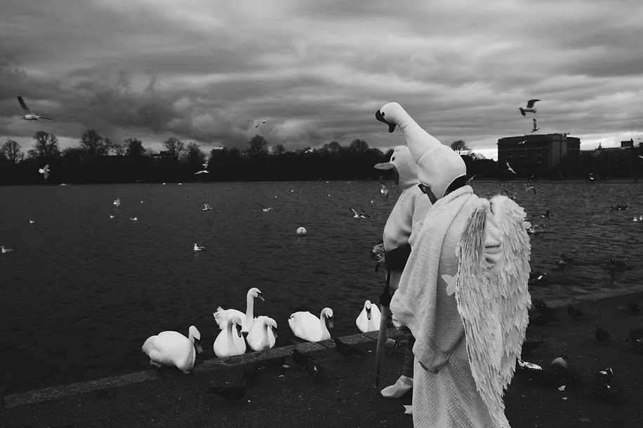 Yique (HanZheng Wang) Perhaps Love , 2023