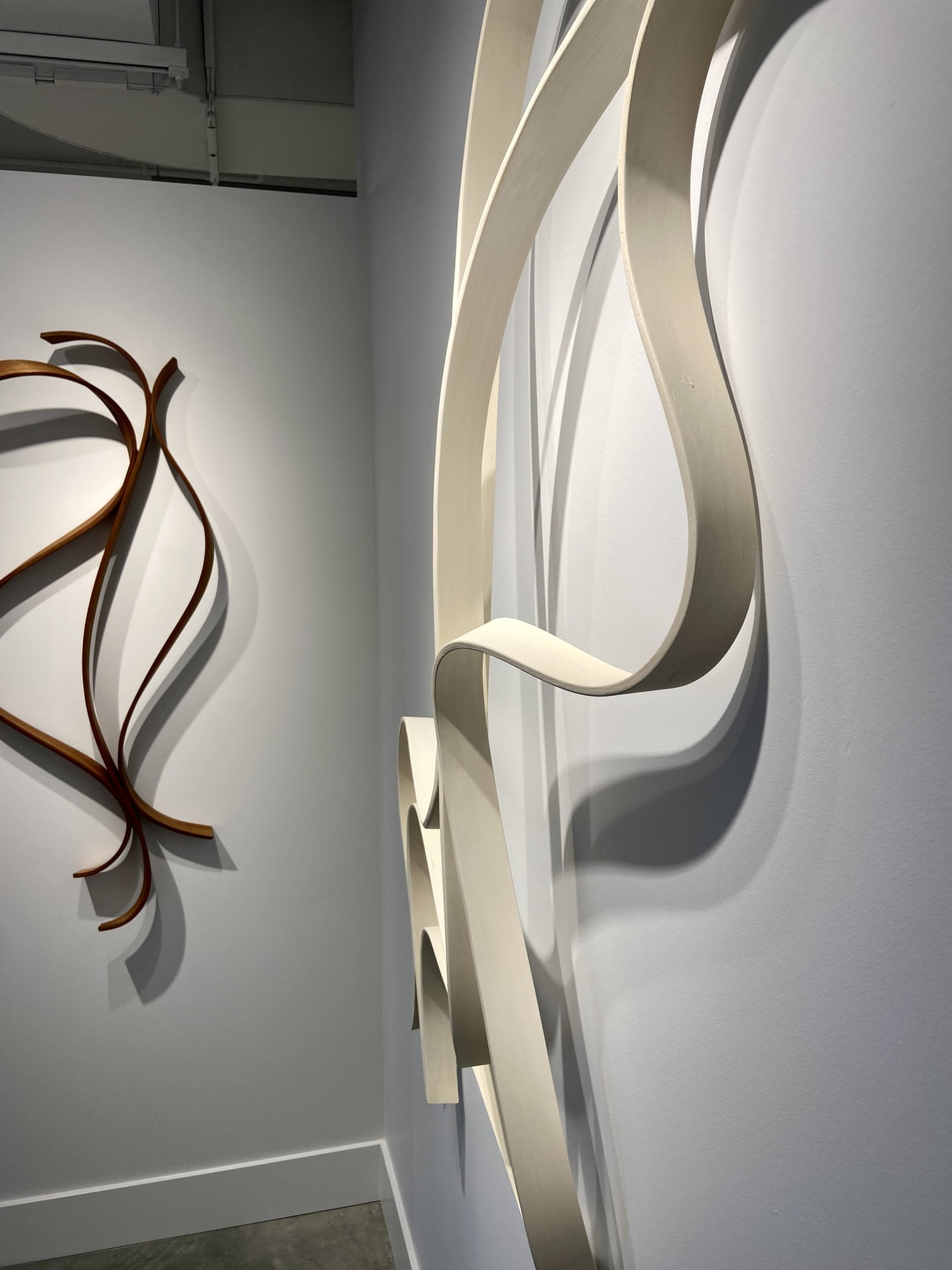 Shadow and Form: a study of movement