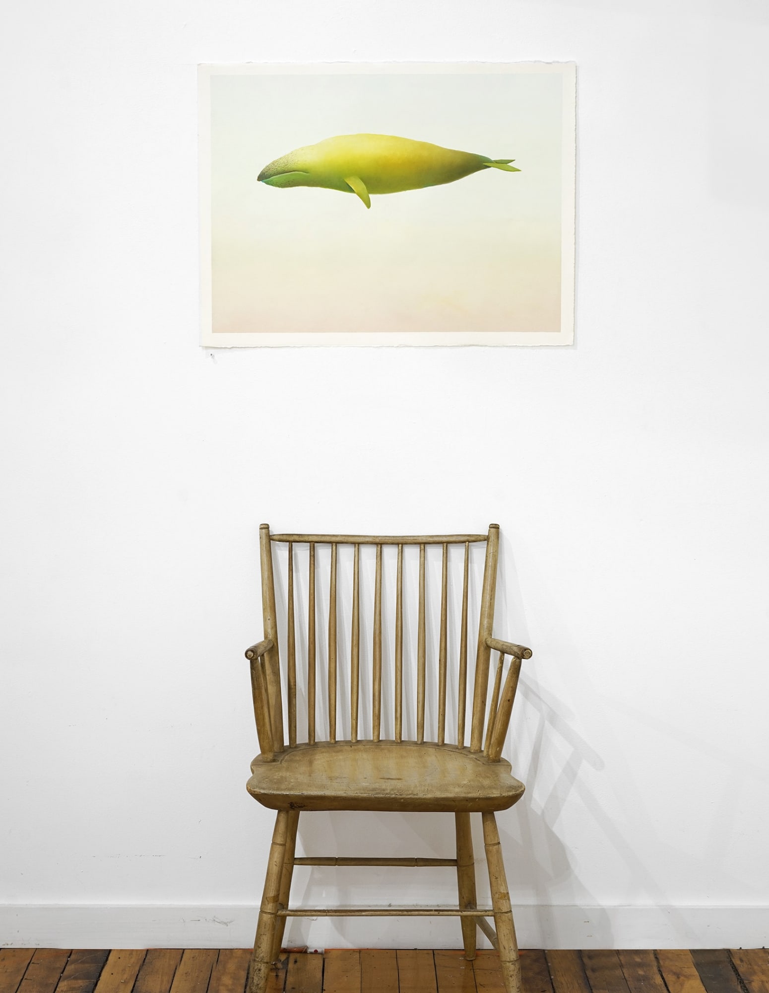 ASHLEY ELIZA WILLIAMS w/ Frédérique Zacharia