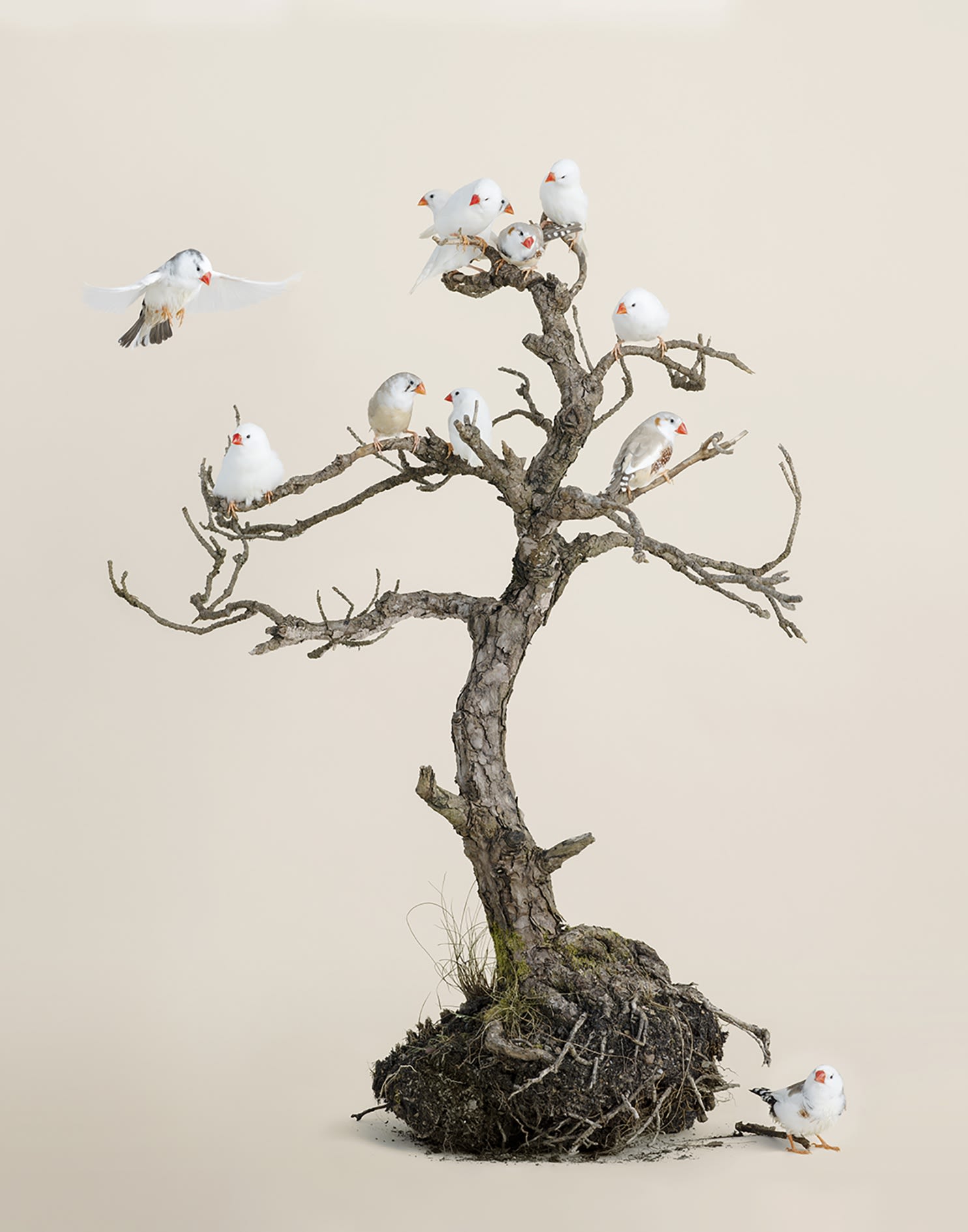 The wound is the place where the light enters