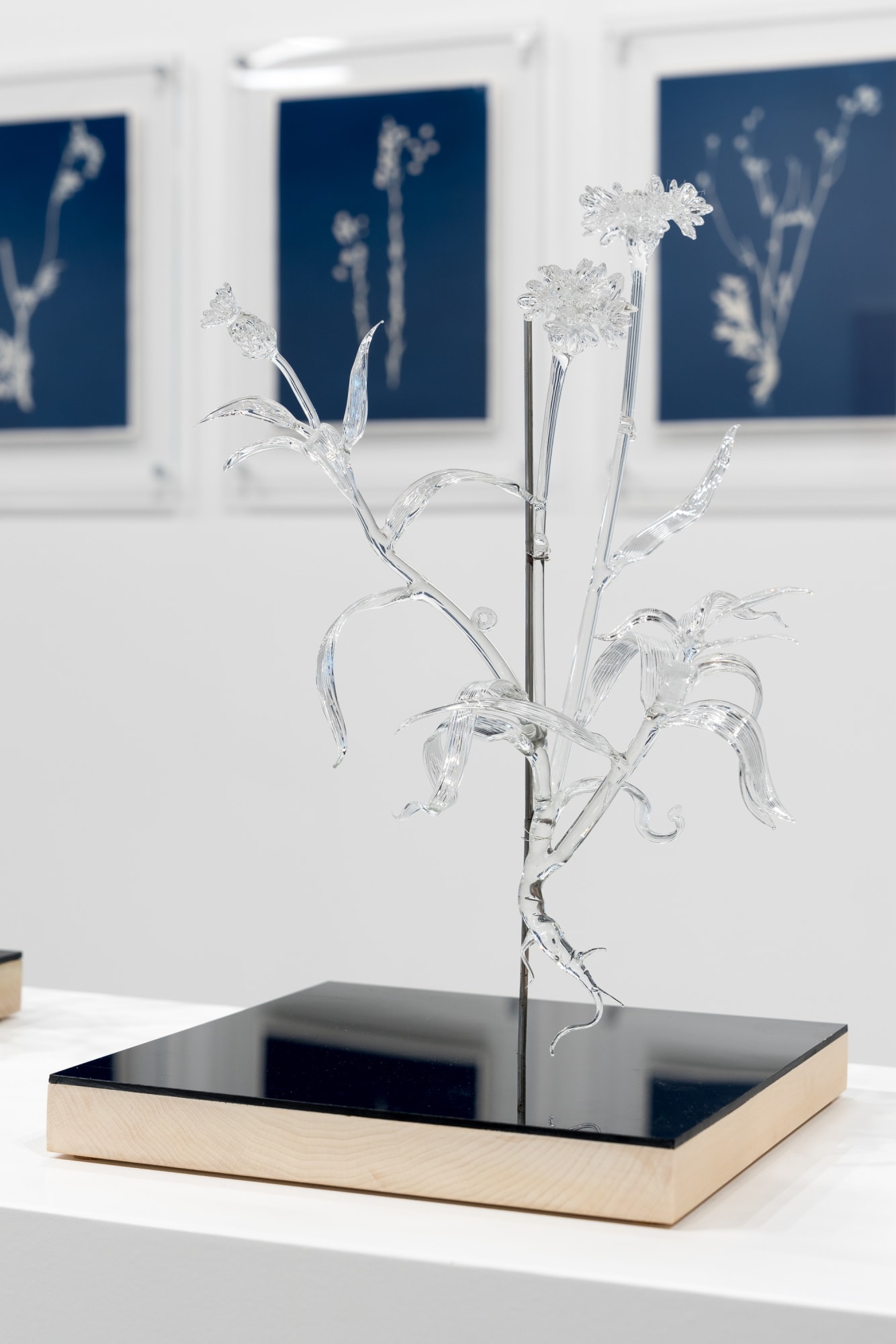 ECHOS OF IRAN: A WOMXN’S TRIBUTE