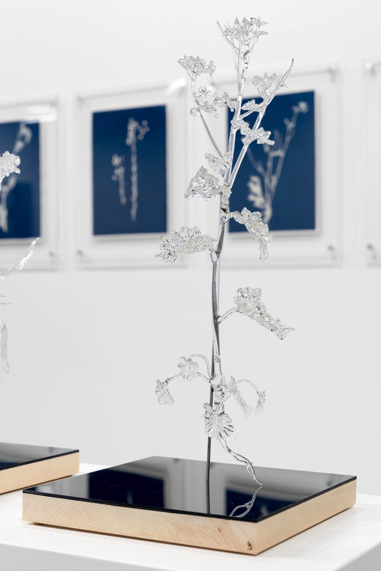 ECHOS OF IRAN: A WOMXN’S TRIBUTE