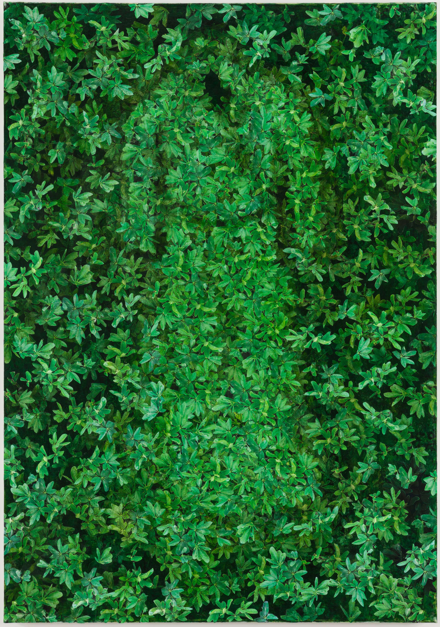 Green Hedge II