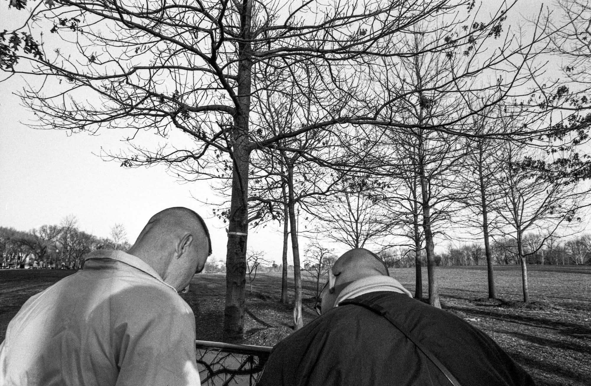 Arlington National Cemetery, Virginia, 1986 BAM1986005W02152K-14A