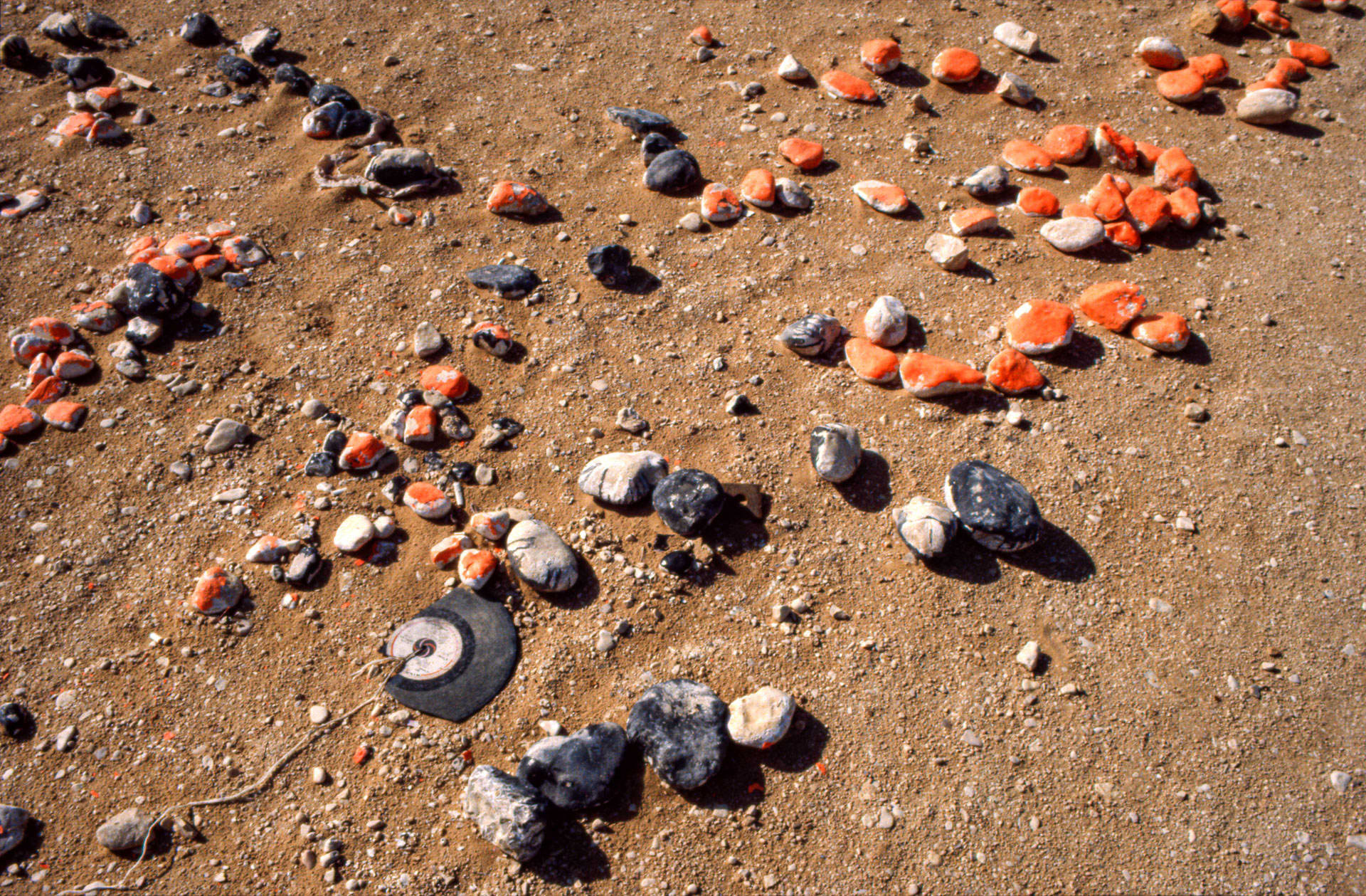 Refeidim camp, ISRAEL, 1979 BAM1979014K101(W01568)