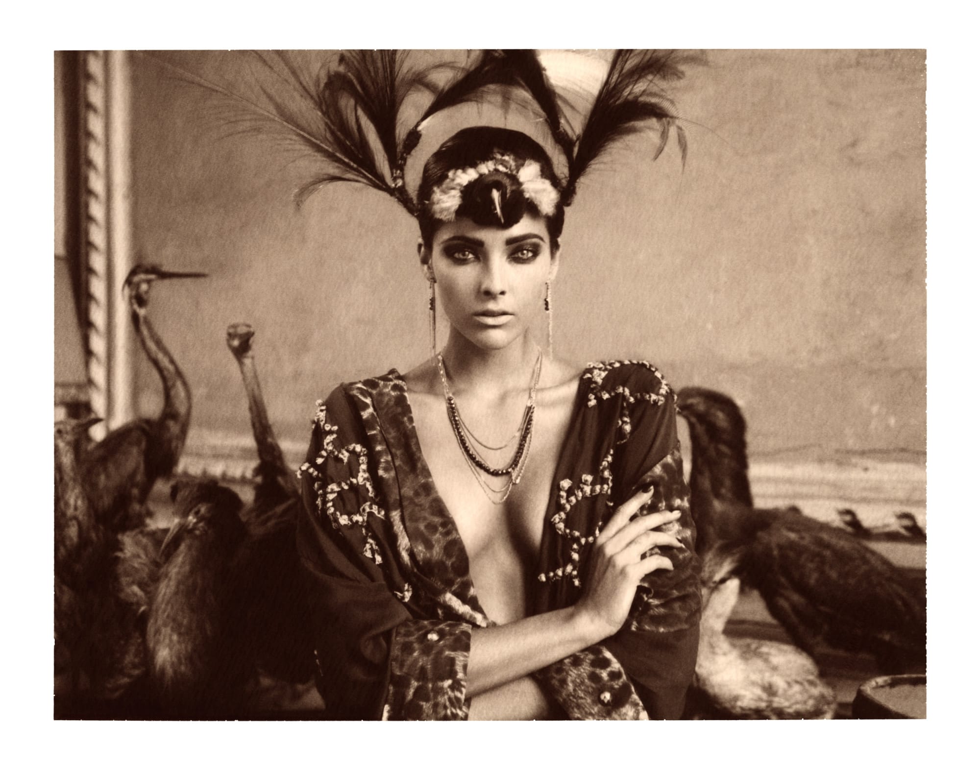 Chocolate | Marc Lagrange