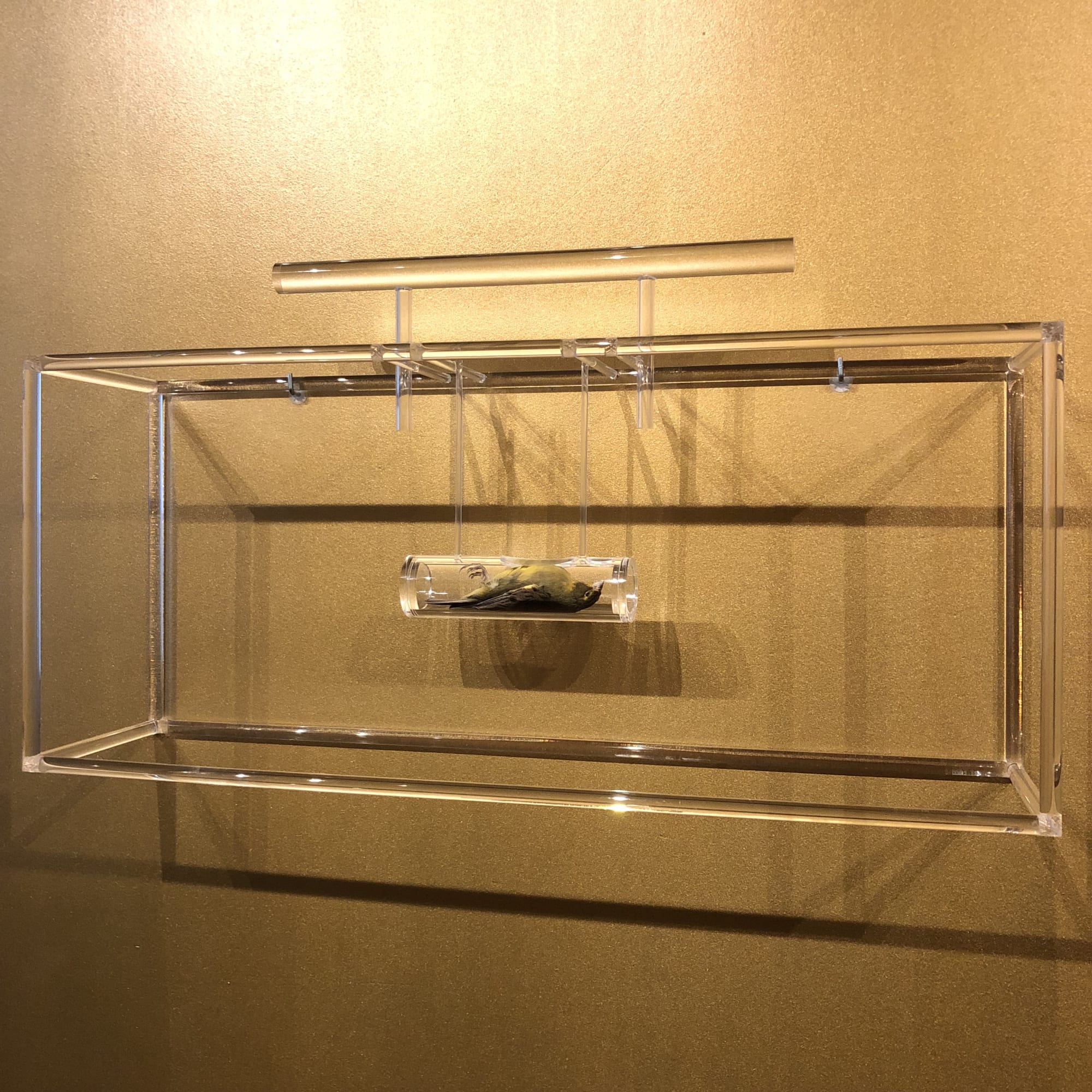 TEDS Schatkamer | Ted Noten