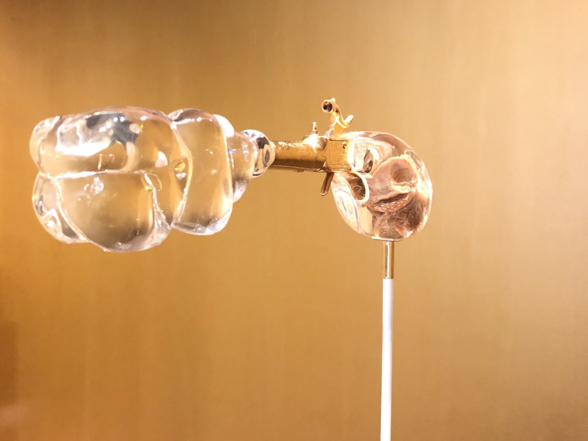 TEDS Schatkamer | Ted Noten