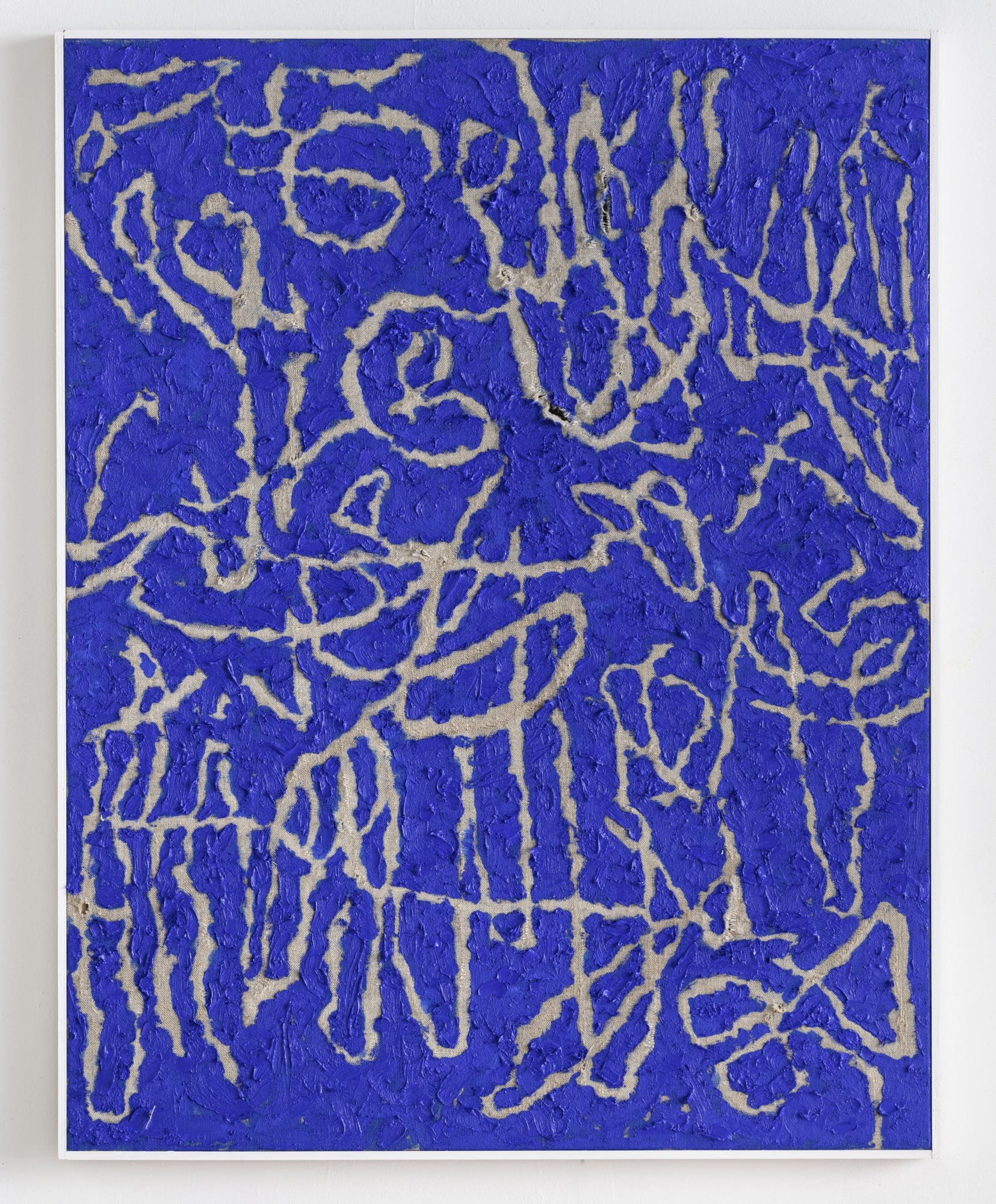 THREE-LEGGED DOG // Gijs van Lith