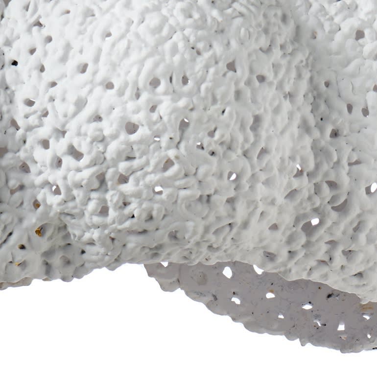 PRIMEUR // Diederik Schneemann