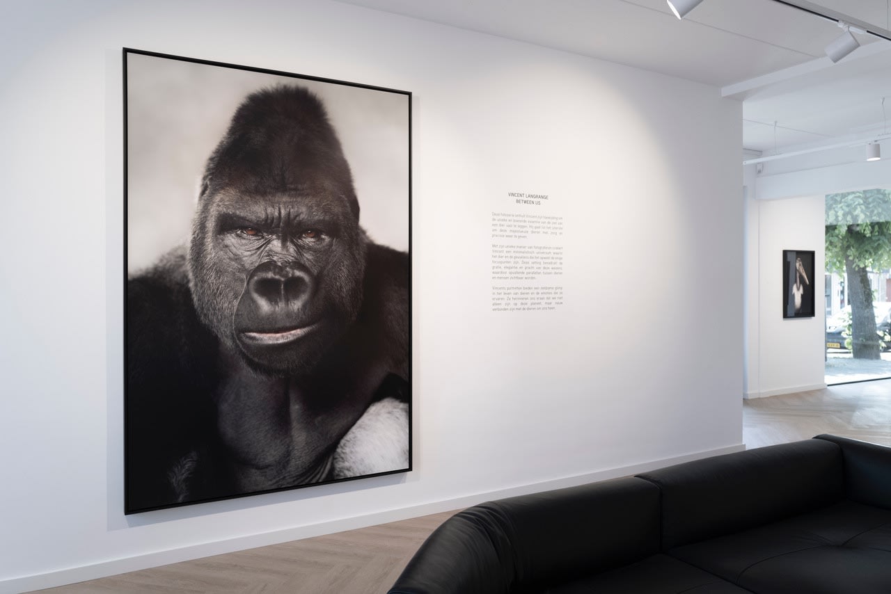 BETWEEN US // Vincent Lagrange