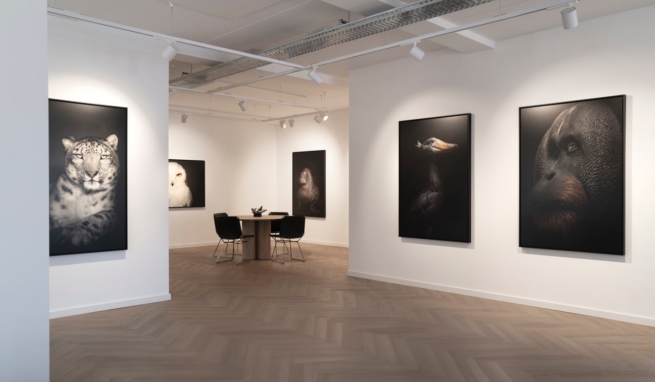 BETWEEN US // Vincent Lagrange