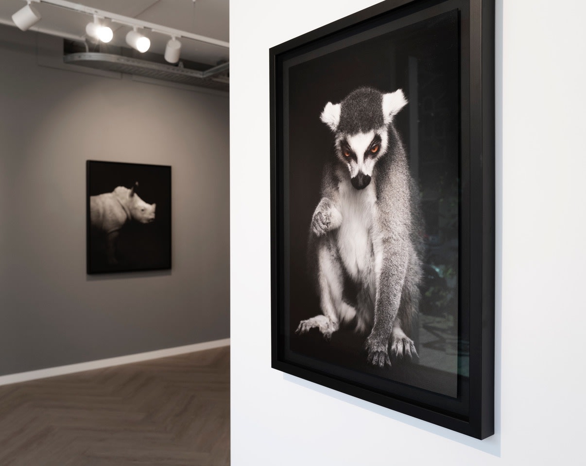 BETWEEN US // Vincent Lagrange