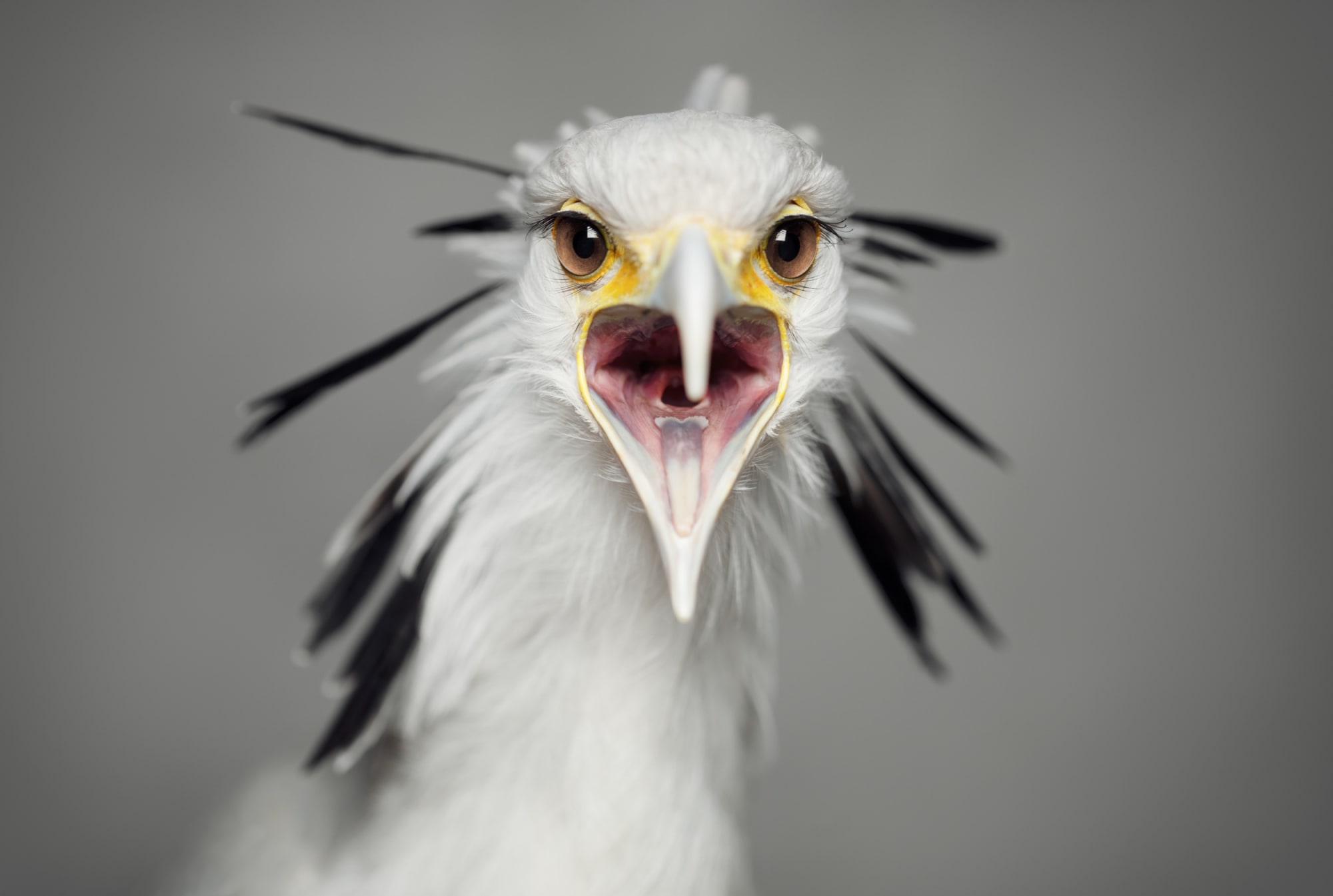 EXTENDED // BETWEEN US by Vincent Lagrange