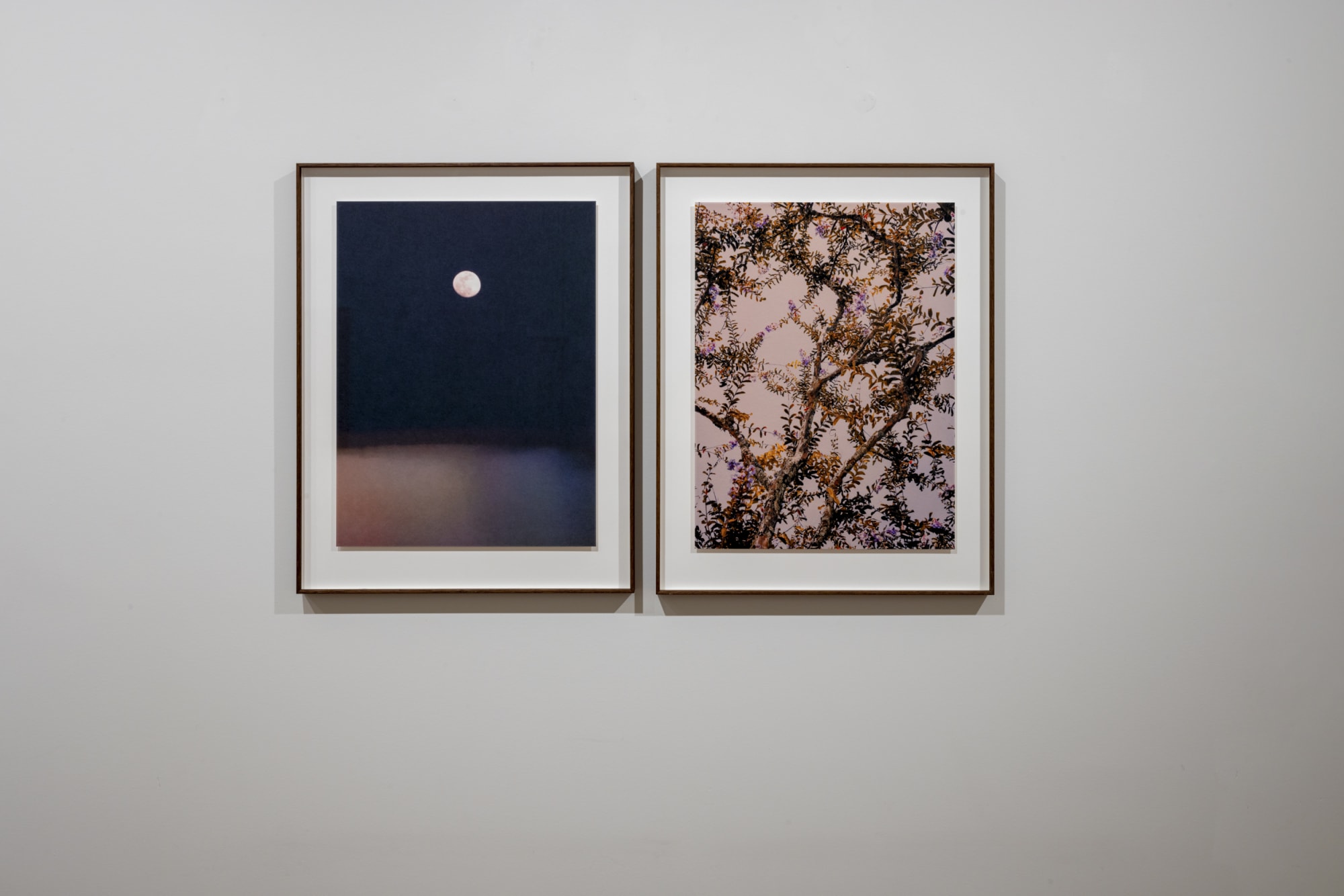 PAUL CUPIDO - L'HEURE BLEUE