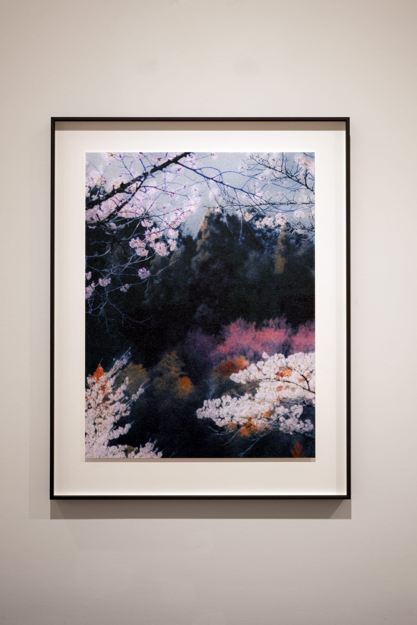 PAUL CUPIDO - L'HEURE BLEUE