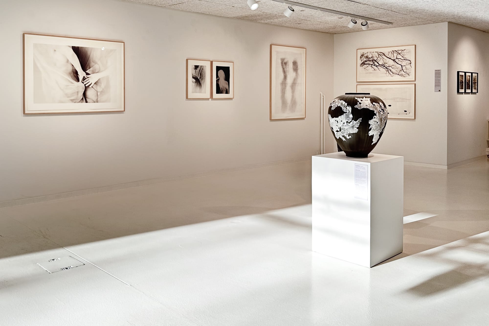 FRICTION – MARGARET LANSINK