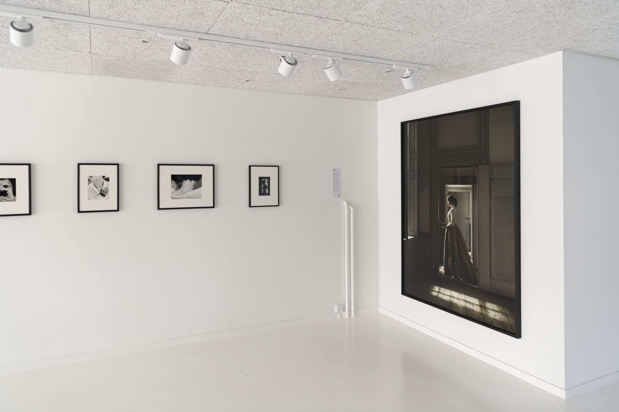 TERRA INCOGNITA – ILONA LANGBROEK