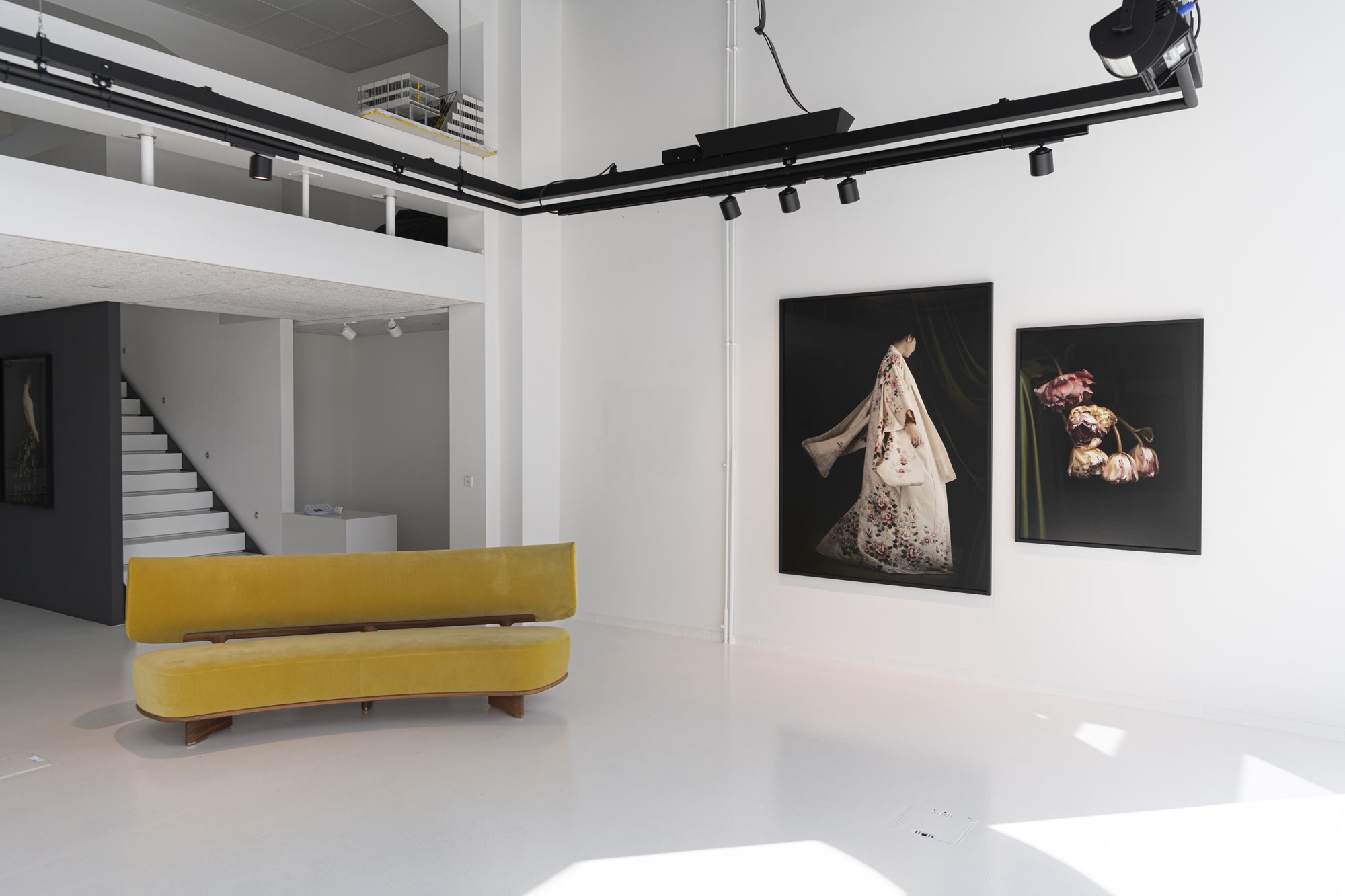 TERRA INCOGNITA – ILONA LANGBROEK