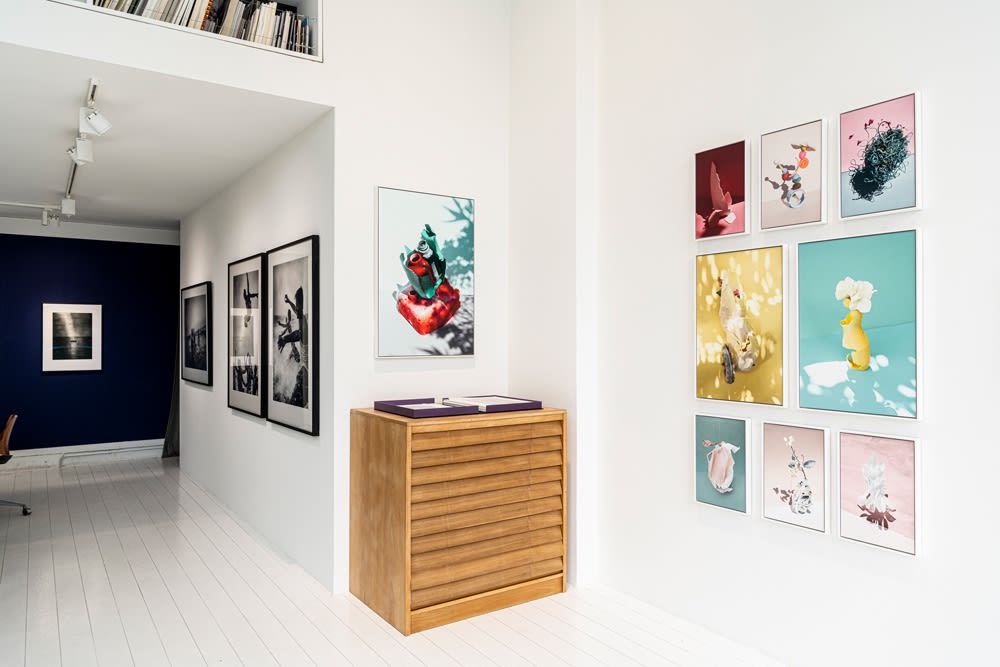 OCEAN - SUMMER EXHIBITION