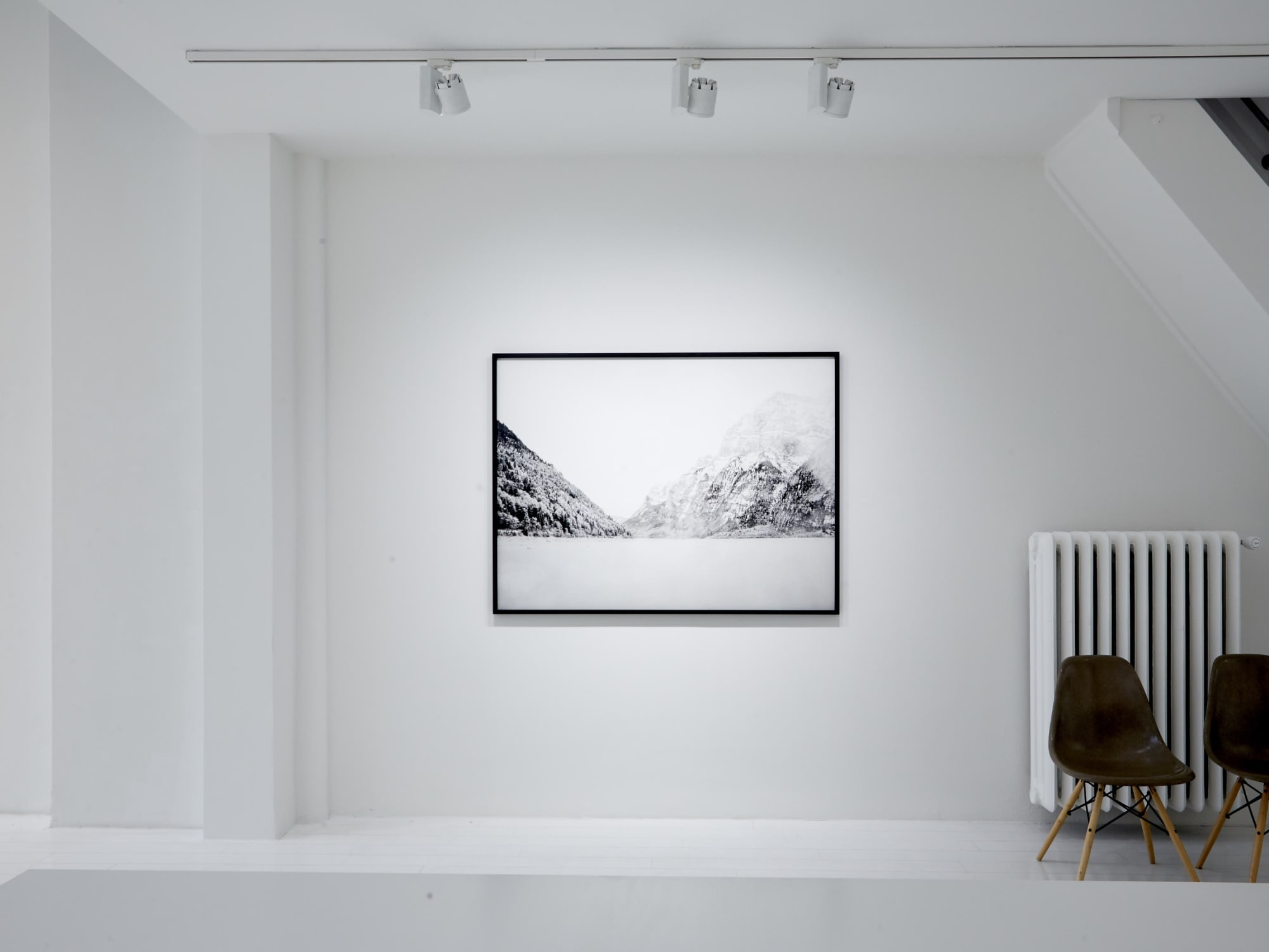 A BRIEF CRACK OF LIGHT - DOUGLAS MANDRY