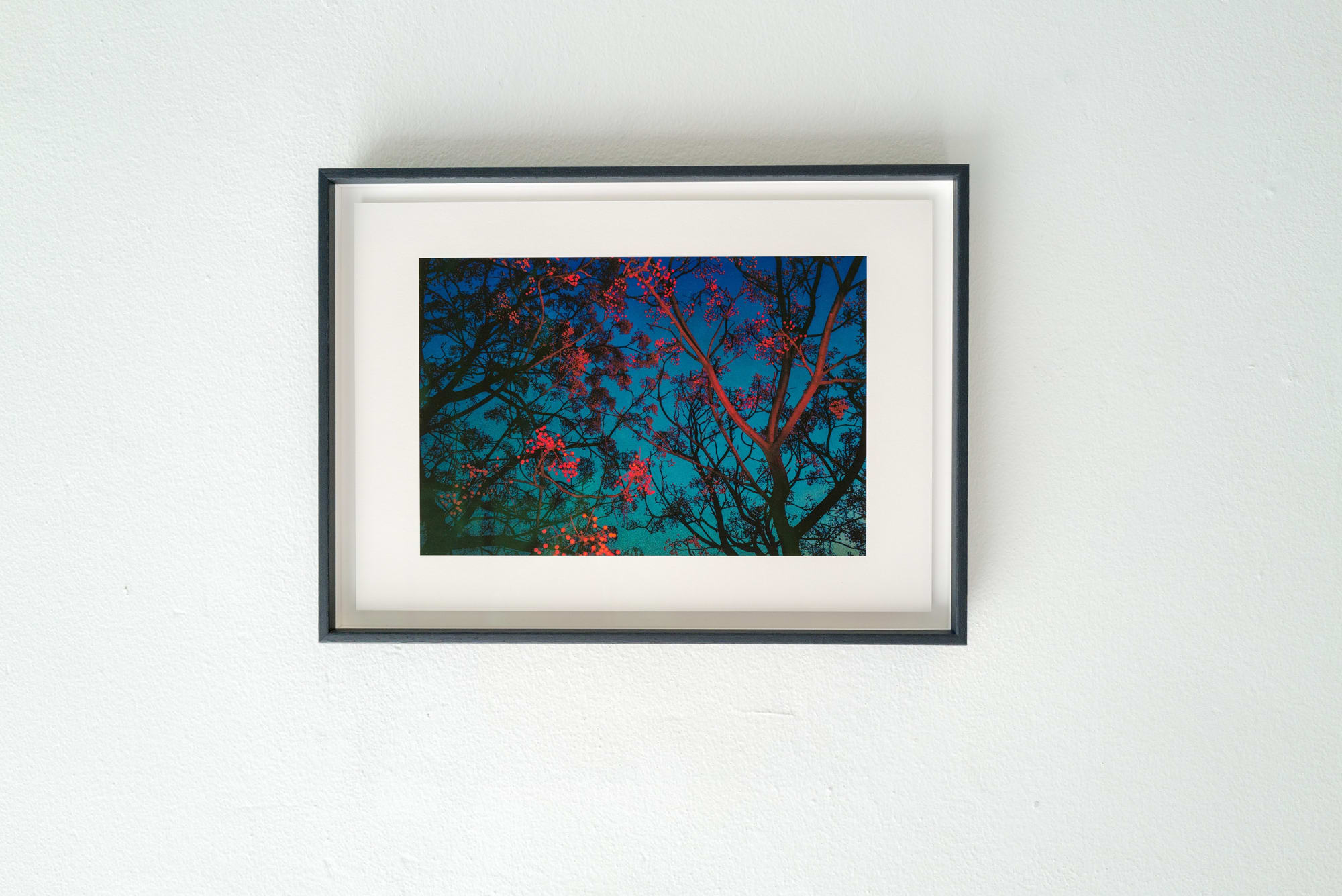 ÉPHÉMÈRE - PAUL CUPIDO